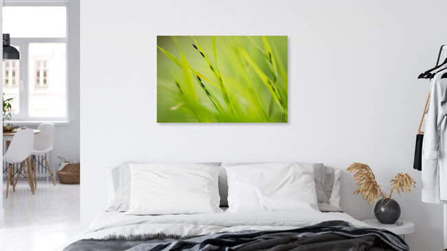 Gras mit Samen, Deutschland – Fotokunst von Nadja Jacke als Poster oder Acrylglasbild