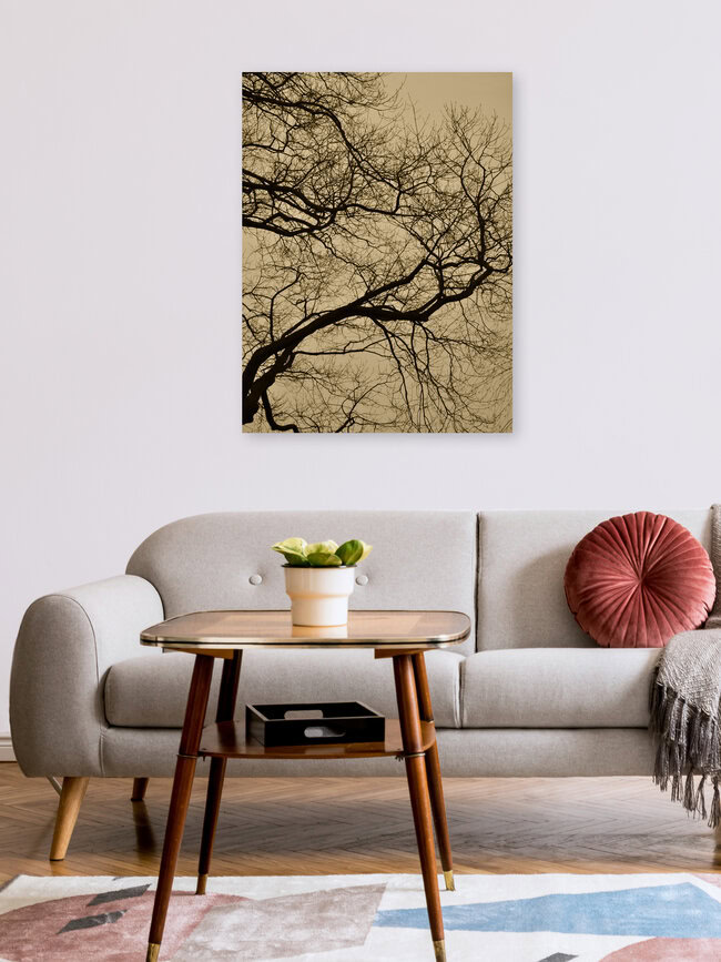 golden houre abstract branches, Germany – wall art by Studio Na.hili as Poster or Acrylic Glass Print