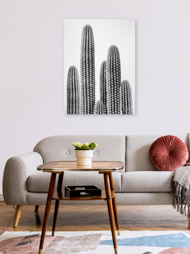 Cactus 2 - Black & White, Israel – Fotokunst von Gal Pittel als Poster oder Acrylglasbild
