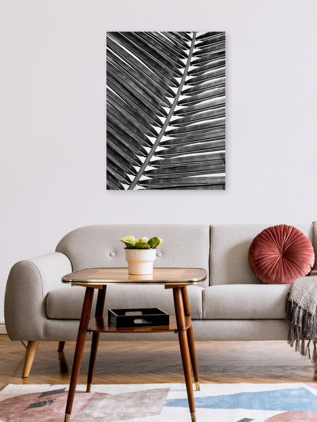 Palm Leaf 2 - Black & White, Israel – Fotokunst von Gal Pittel als Poster oder Acrylglasbild