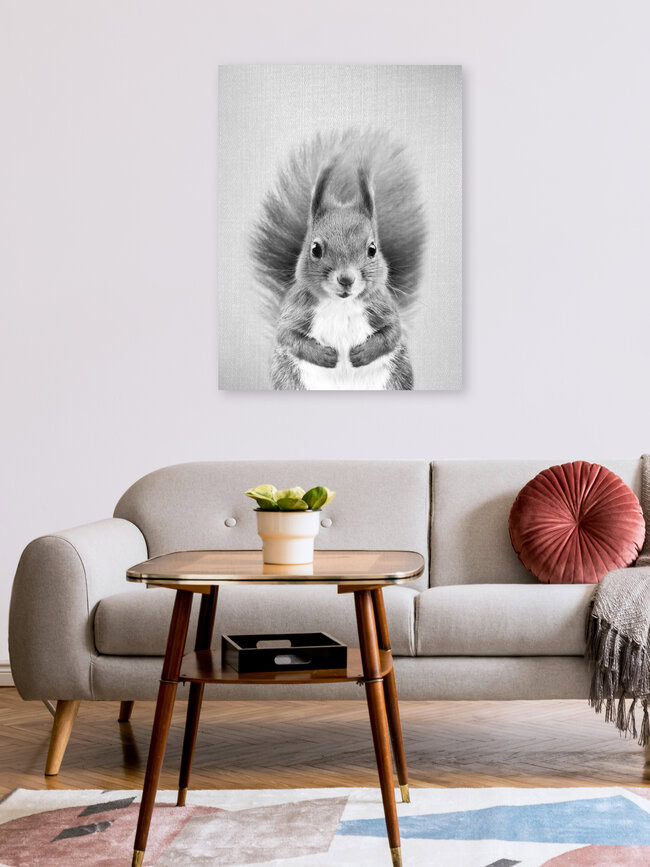 Squirrel - Black & White, Israel – wall art by Gal Pittel as Poster or Acrylic Glass Print