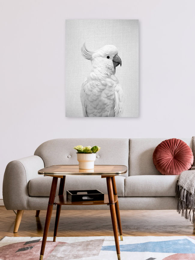 White Cockatoo - Black & White, Israel – Fotokunst von Gal Pittel als Poster oder Acrylglasbild