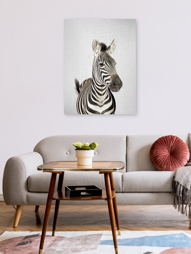 Zebra, Israel – Fotokunst von Gal Pittel als Poster oder Acrylglasbild