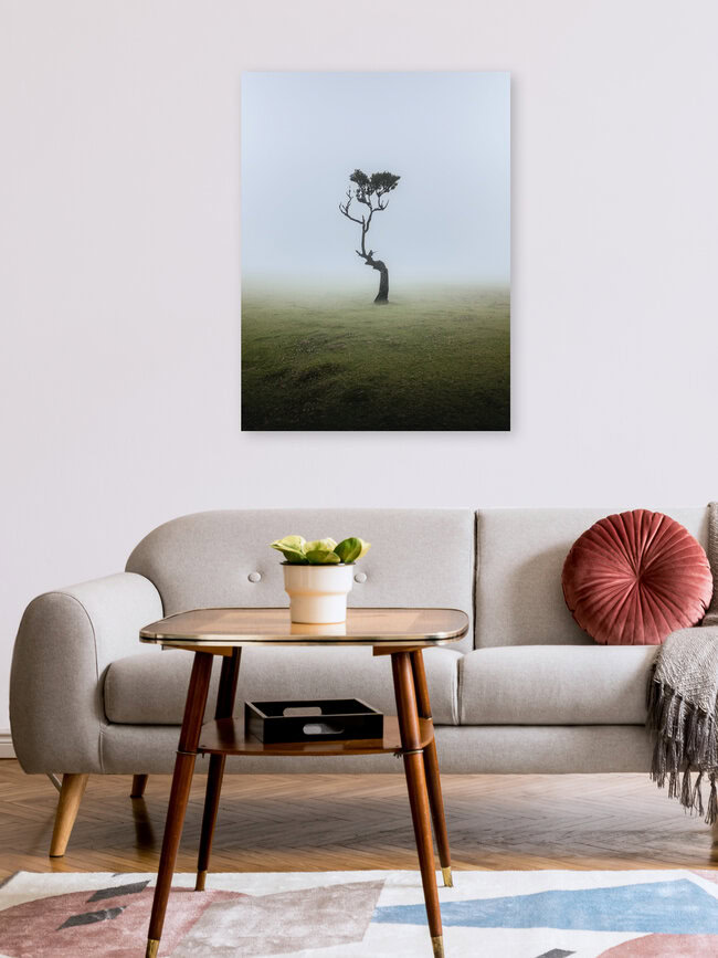 Fanal, Madeira, Portugal – Fotokunst von Reiner Hofer als Poster oder Acrylglasbild