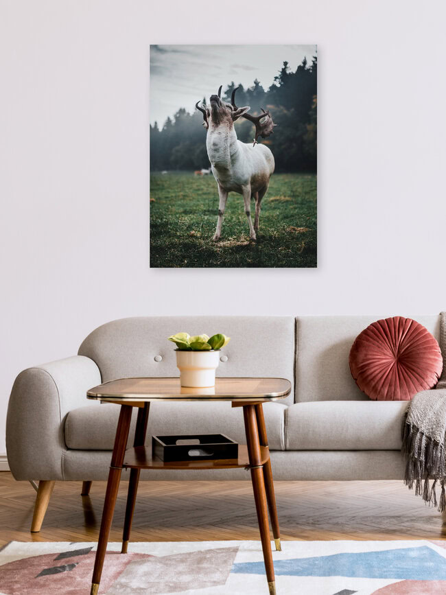 Poser, Germany – wall art by Dominic Lars as Poster or Acrylic Glass Print