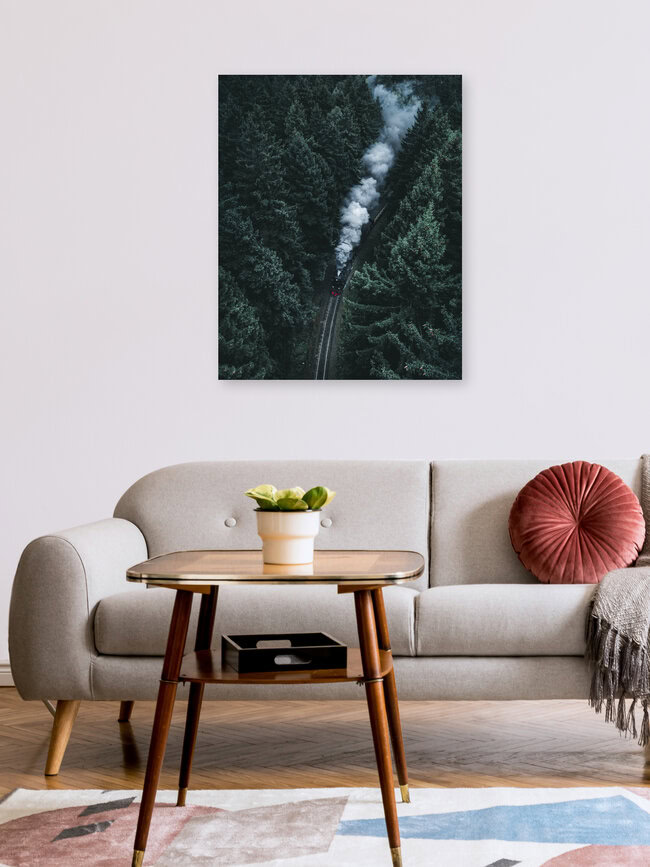Forest Train, Deutschland – Fotokunst von Luca Jaenichen als Poster oder Acrylglasbild