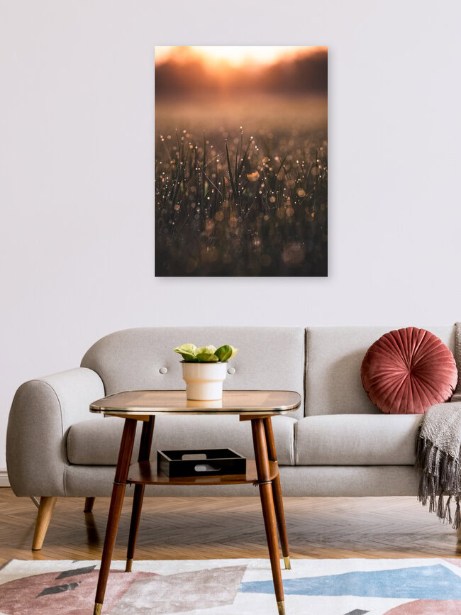 Morning Dew, Germany – wall art by Gergo Kazsimer as Poster or Acrylic Glass Print