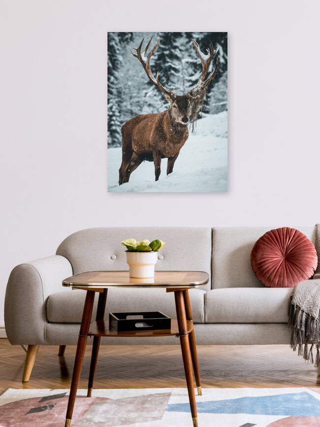 Hirsch mit Futtervorrat, Deutschland – Fotokunst von Daniel Weissenhorn als Poster oder Acrylglasbild