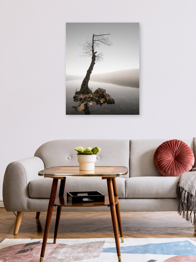Høst, Deutschland – Fotokunst von Ronny Behnert als Poster oder Acrylglasbild