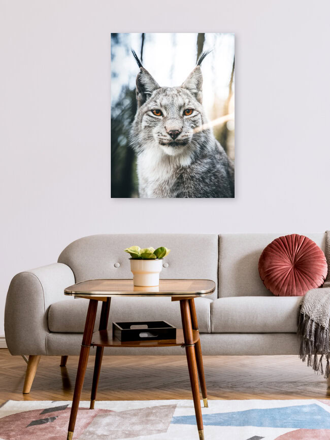 Potrait eines Luchses im Wald, Deutschland – Fotokunst von Lars Schmucker als Poster oder Acrylglasbild