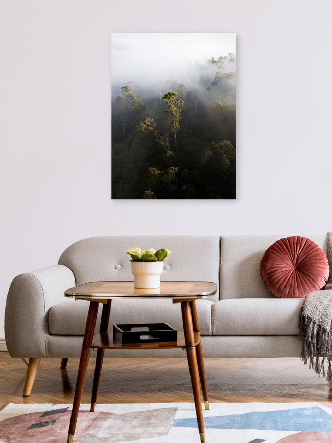 Foggy Tasmania, Australien – Fotokunst von Frida Berg als Poster oder Acrylglasbild