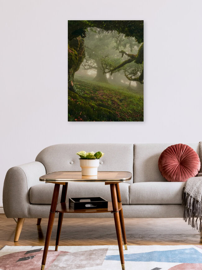 entrance to fairytale forest, Portugal – Fotokunst von Anke Butawitsch als Poster oder Acrylglasbild
