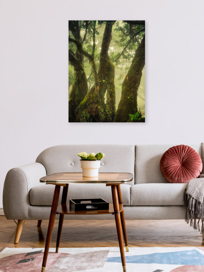 close to the green, Portugal – Fotokunst von Anke Butawitsch als Poster oder Acrylglasbild