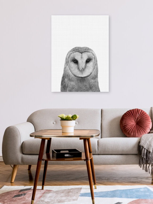 Owl, Großbritannien – Fotokunst von Vivid Atelier als Poster oder Acrylglasbild