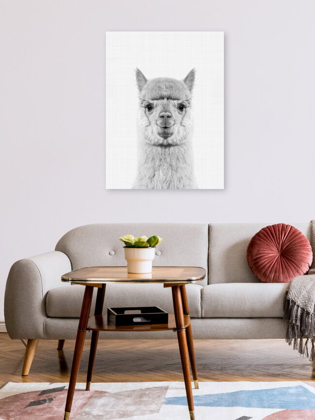 Alpaca (Black and White), United Kingdom – wall art by Vivid Atelier as Poster or Acrylic Glass Print