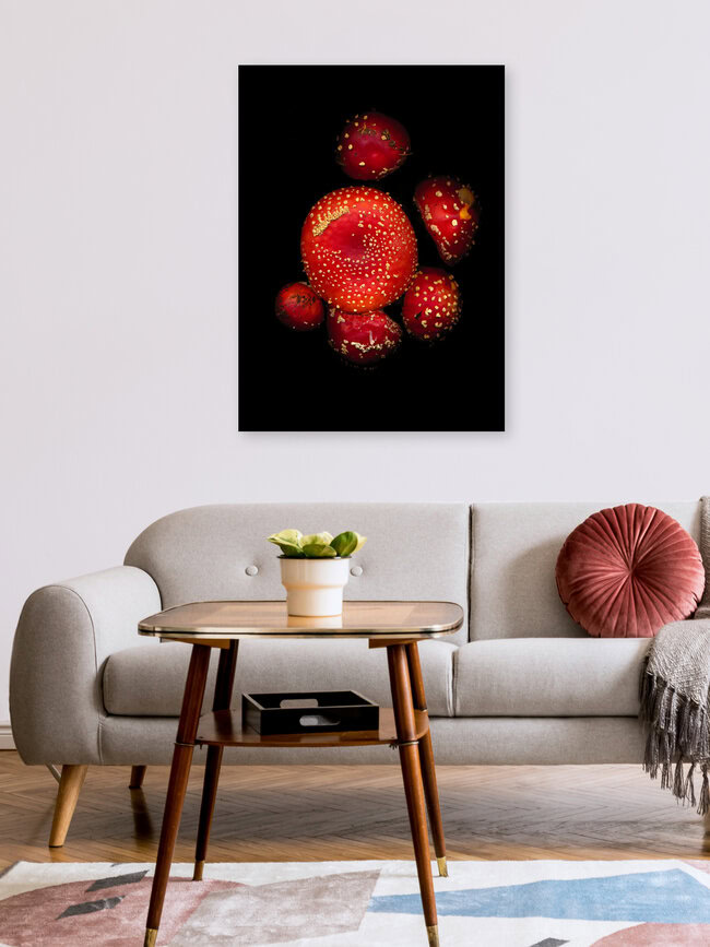 Fliegenpilze, Deutschland – Fotokunst von Ramona Reimann als Poster oder Acrylglasbild