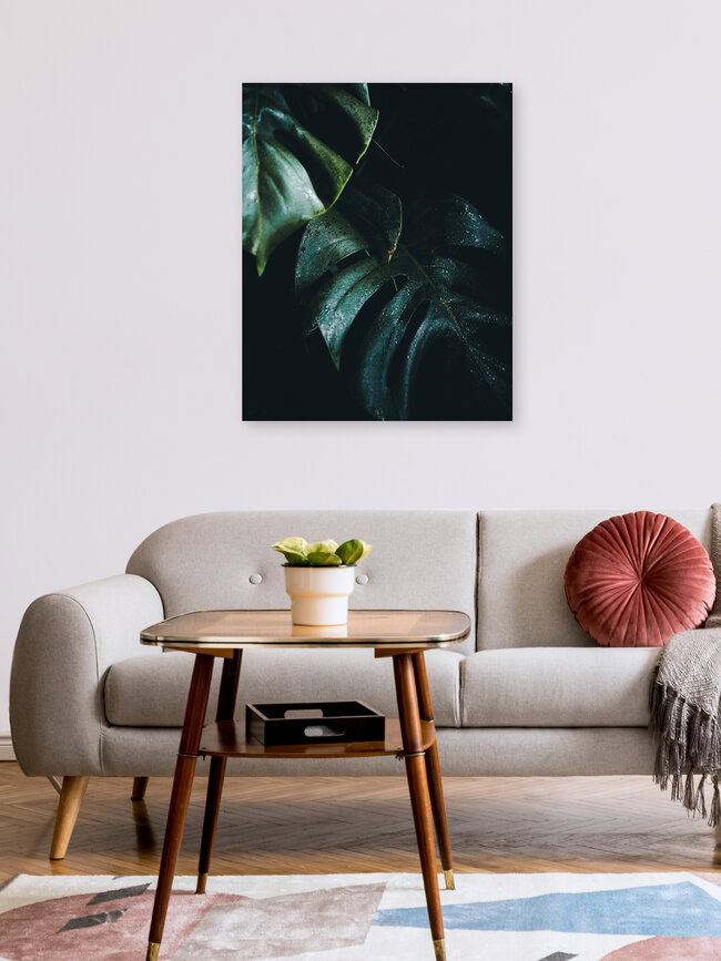 Monstera, Germany – wall art by Philipp Pablitschko as Poster or Acrylic Glass Print