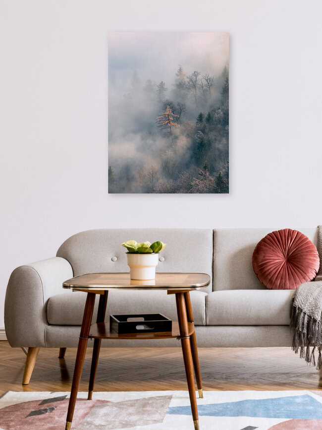 Frostige Bäume, Österreich – Fotokunst von Sebastian ‚zeppaio' Scheichl als Poster oder Acrylglasbild