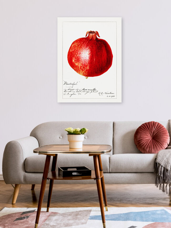 'Vintage pomegranate' – Wall Art by Vintage Nature Graphics as Poster or Acrylic Glass Print