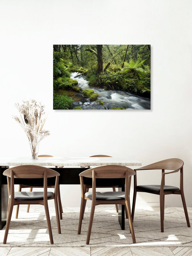 Moose, Farne und Wasser im Regenwald von Neuseeland, Neuseeland – Fotokunst von Stefan Blawath als Poster oder Acrylglasbild