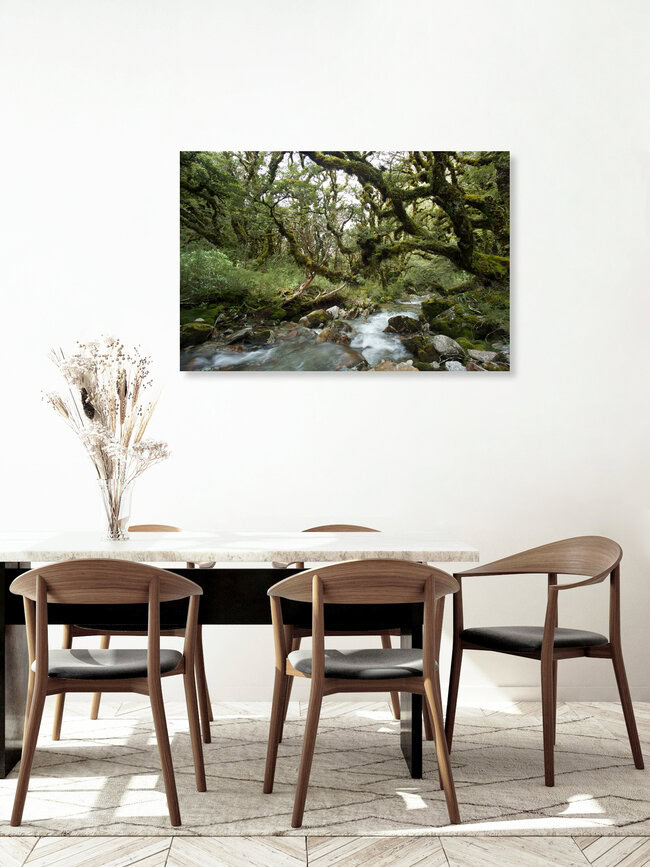 Im Ur-Wald von Neuseeland, Neuseeland – Fotokunst von Stefan Blawath als Poster oder Acrylglasbild