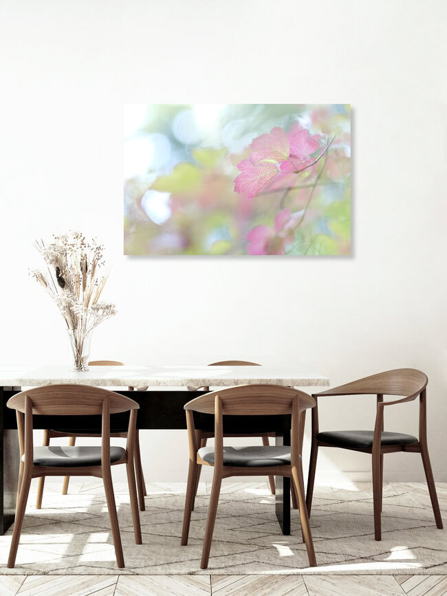 Pink Leaf, Deutschland – Fotokunst von Torsten Kupke als Poster oder Acrylglasbild