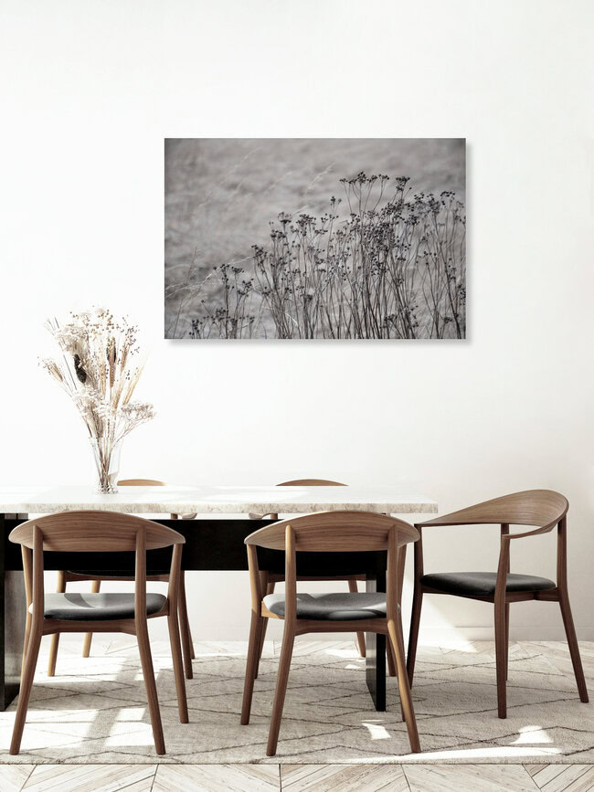 flower buds in the beige greige golden field 1, Deutschland – Fotokunst von Studio Na.hili als Poster oder Acrylglasbild