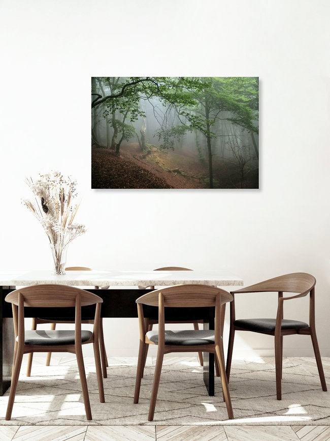 Fog in spring in forest, Germany – wall art by Nadja Jacke as Poster or Acrylic Glass Print
