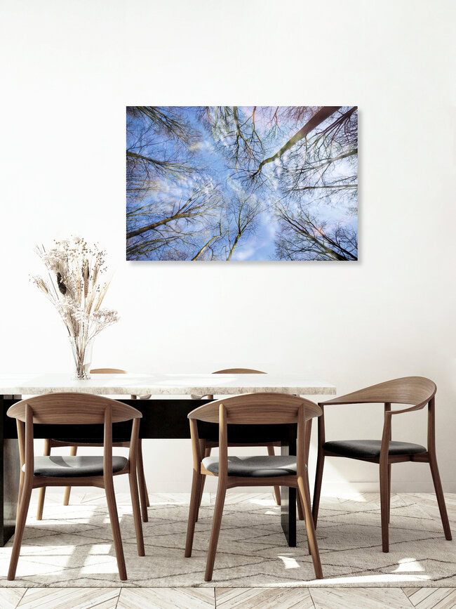 Wald Himmel Doppelbelichtung, Deutschland – Fotokunst von Nadja Jacke als Poster oder Acrylglasbild