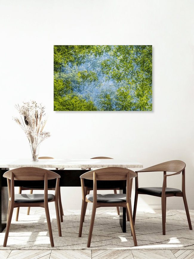 Waldhimmel mit Bäumen im Frühling Mehrfachbelichtung, Deutschland – Fotokunst von Nadja Jacke als Poster oder Acrylglasbild