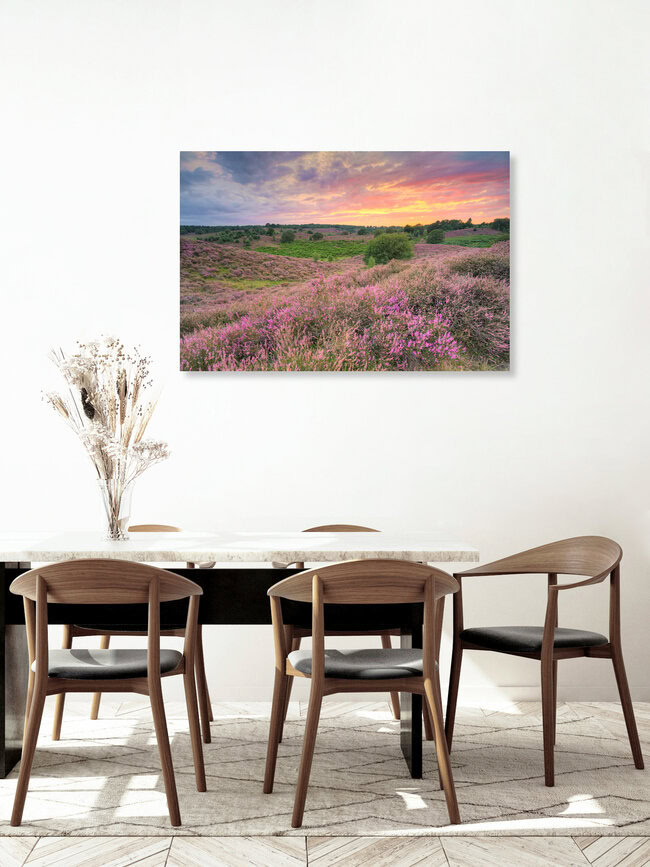 Heath bloom in the Veluwezoom National Park, Netherlands – wall art by Michael Valjak as Poster or Acrylic Glass Print