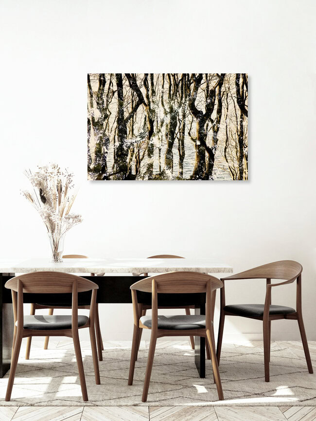 Wald-Wasser-Doppel, Deutschland – Fotokunst von Nadja Jacke als Poster oder Acrylglasbild