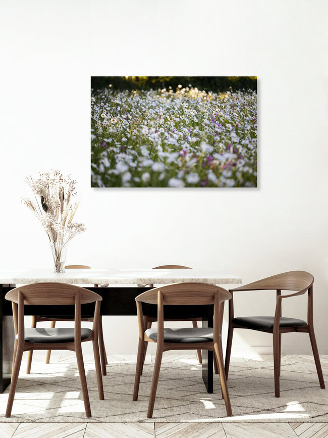 Margeritenwiese, Deutschland – Fotokunst von Nadja Jacke als Poster oder Acrylglasbild
