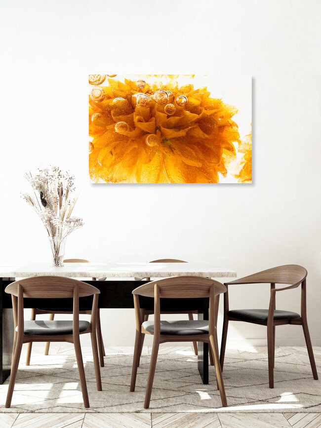 Gelbe Chrysanthemen in kristallklarem Eis 2, Deutschland – Fotokunst von Marc Heiligenstein als Poster oder Acrylglasbild