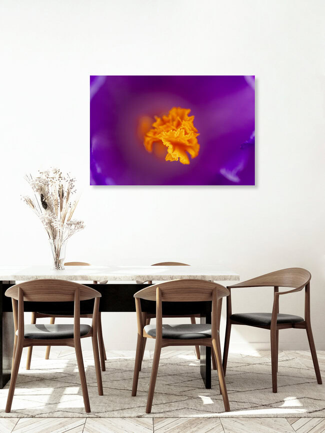 Goldene Narbe – Makro eines Krokus, Deutschland – Fotokunst von Nadja Jacke als Poster oder Acrylglasbild