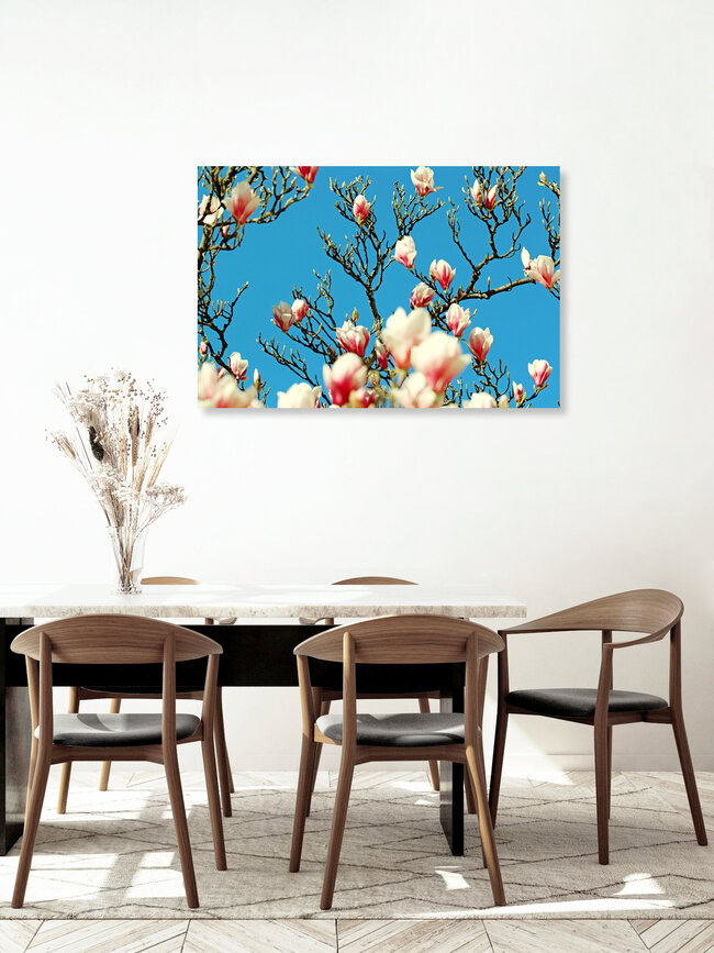 Magnolien, Deutschland – Fotokunst von Manuela Deigert als Poster oder Acrylglasbild