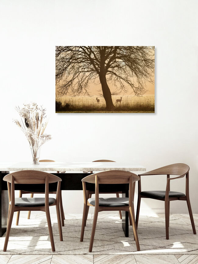 Rehe im Sonnenaufgang, Deutschland – Fotokunst von Nils Steiner als Poster oder Acrylglasbild