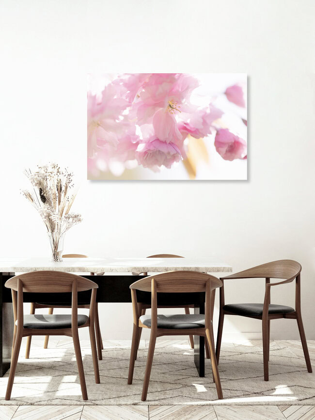 Cherry Blossom in Backlight, Germany – wall art by Nadja Jacke as Poster or Acrylic Glass Print