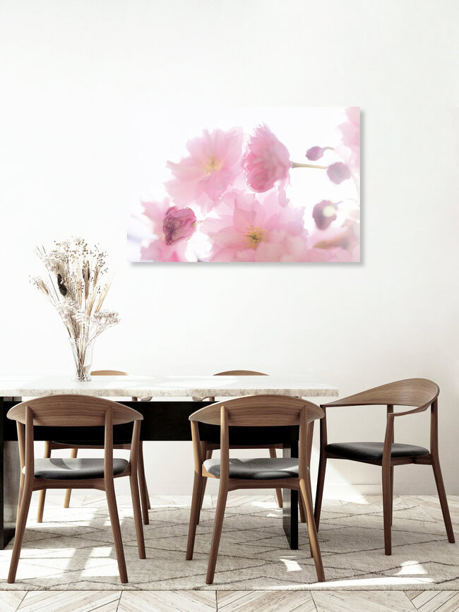 Cherry Blossom in Backlight, Germany – wall art by Nadja Jacke as Poster or Acrylic Glass Print
