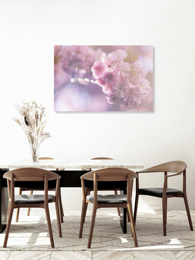 Kirschblüten im Gegenlicht, Deutschland – Fotokunst von Nadja Jacke als Poster oder Acrylglasbild