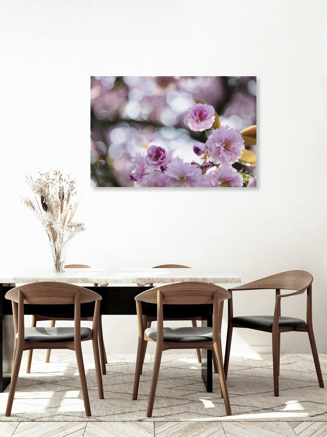 Cherry Blossoms, Germany – wall art by Nadja Jacke as Poster or Acrylic Glass Print