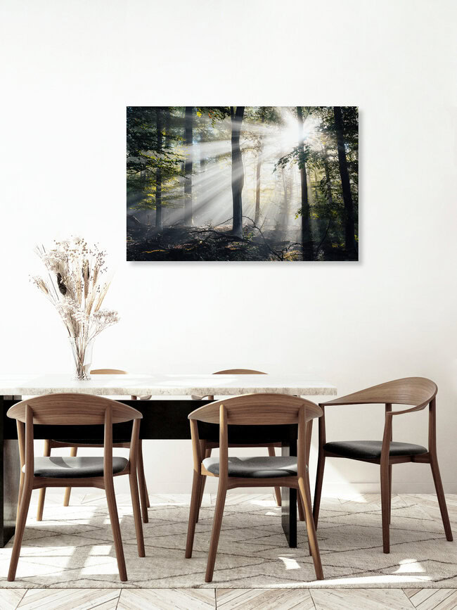 Mystischer Reinhardswald, Deutschland – Fotokunst von Maximilian Fischer als Poster oder Acrylglasbild
