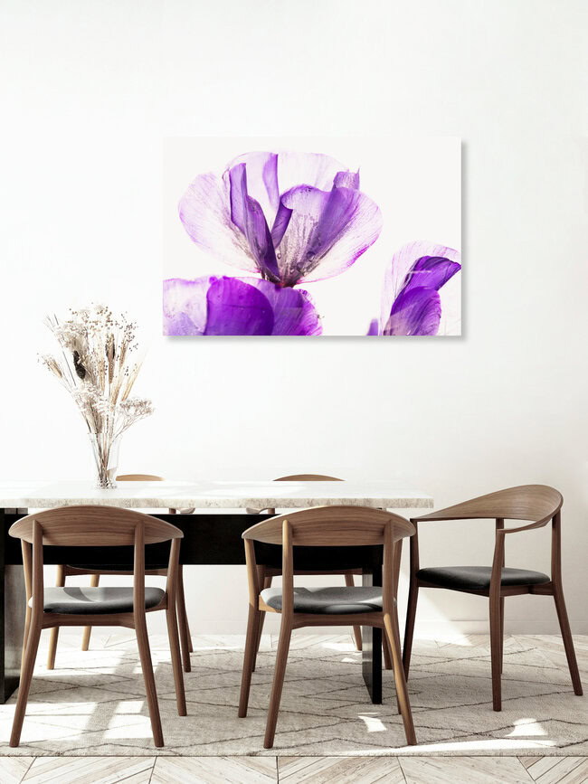 Pinke Blüten der Flammenblumen in Eis, Deutschland – Fotokunst von Marc Heiligenstein als Poster oder Acrylglasbild