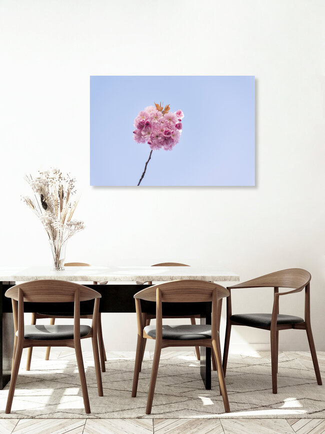Kirschblütenpracht vor blauem Himmel, Deutschland – Fotokunst von Nadja Jacke als Poster oder Acrylglasbild