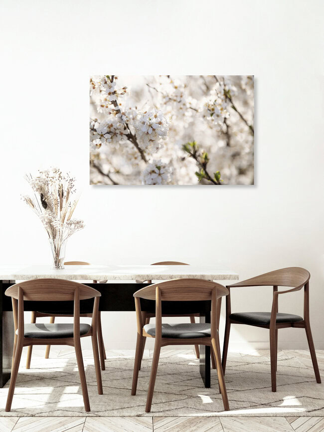 Weißblühende Obstblüte im Frühling mit Bokeh, Deutschland – Fotokunst von Nadja Jacke als Poster oder Acrylglasbild