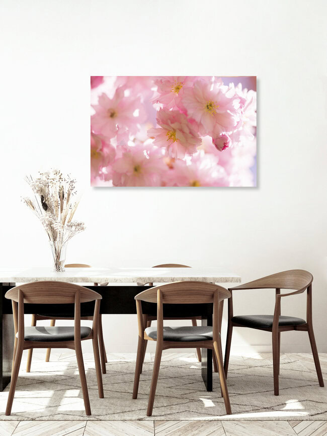 Kirschblüten Nahaufnahme im Gegenlicht, Deutschland – Fotokunst von Nadja Jacke als Poster oder Acrylglasbild