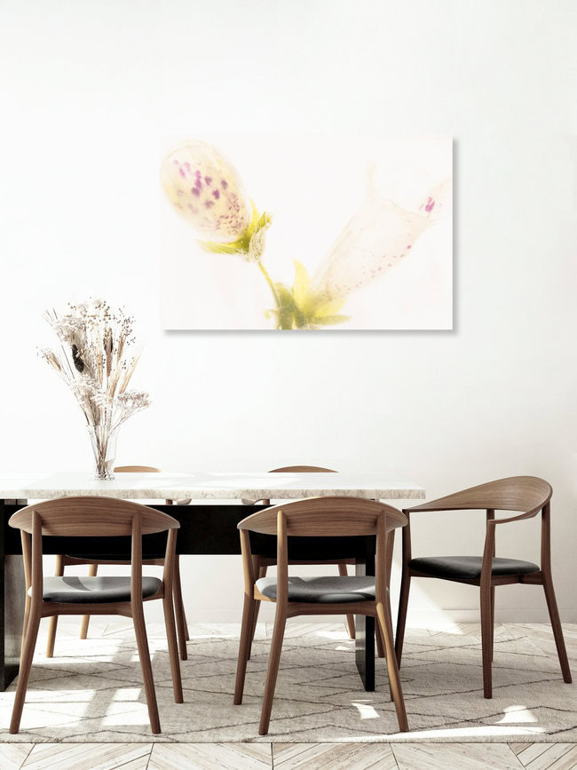 Fingerhut-Blüten in Eis, Deutschland – Fotokunst von Marc Heiligenstein als Poster oder Acrylglasbild
