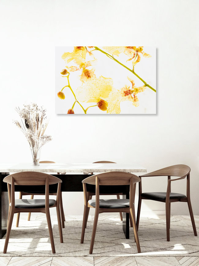 Gelb-Rote Oncidium in Eis, Deutschland – Fotokunst von Marc Heiligenstein als Poster oder Acrylglasbild