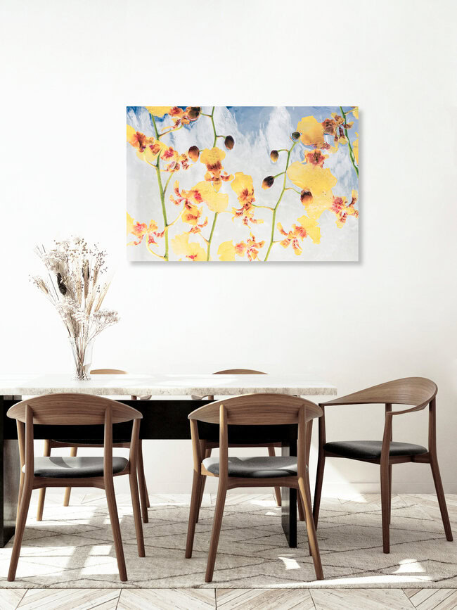 Oncidium in Eis 3, Deutschland – Fotokunst von Marc Heiligenstein als Poster oder Acrylglasbild