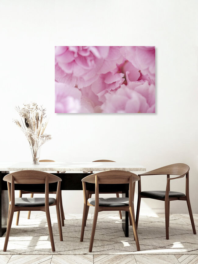 Sea of Cherry Blossoms, Germany – wall art by Nadja Jacke as Poster or Acrylic Glass Print